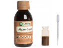 Algae Gold flores grandes