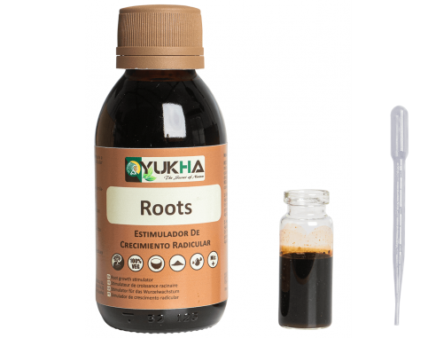 Root growth stimulant