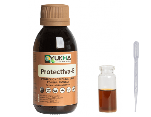 Protection against plant fungi