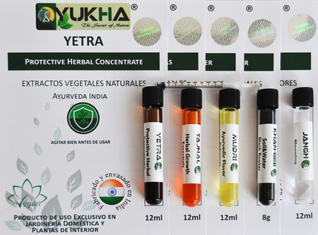 YUKHA's C. Ayurveda Pack has a very important impact