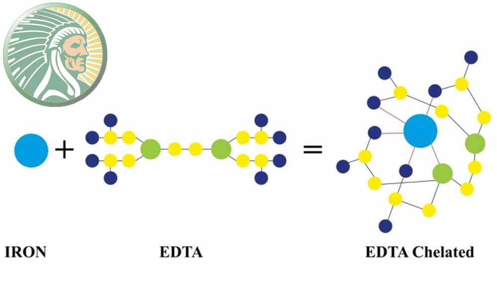 Ion de fer + molécule organique EDTA = fer chélaté EDTA