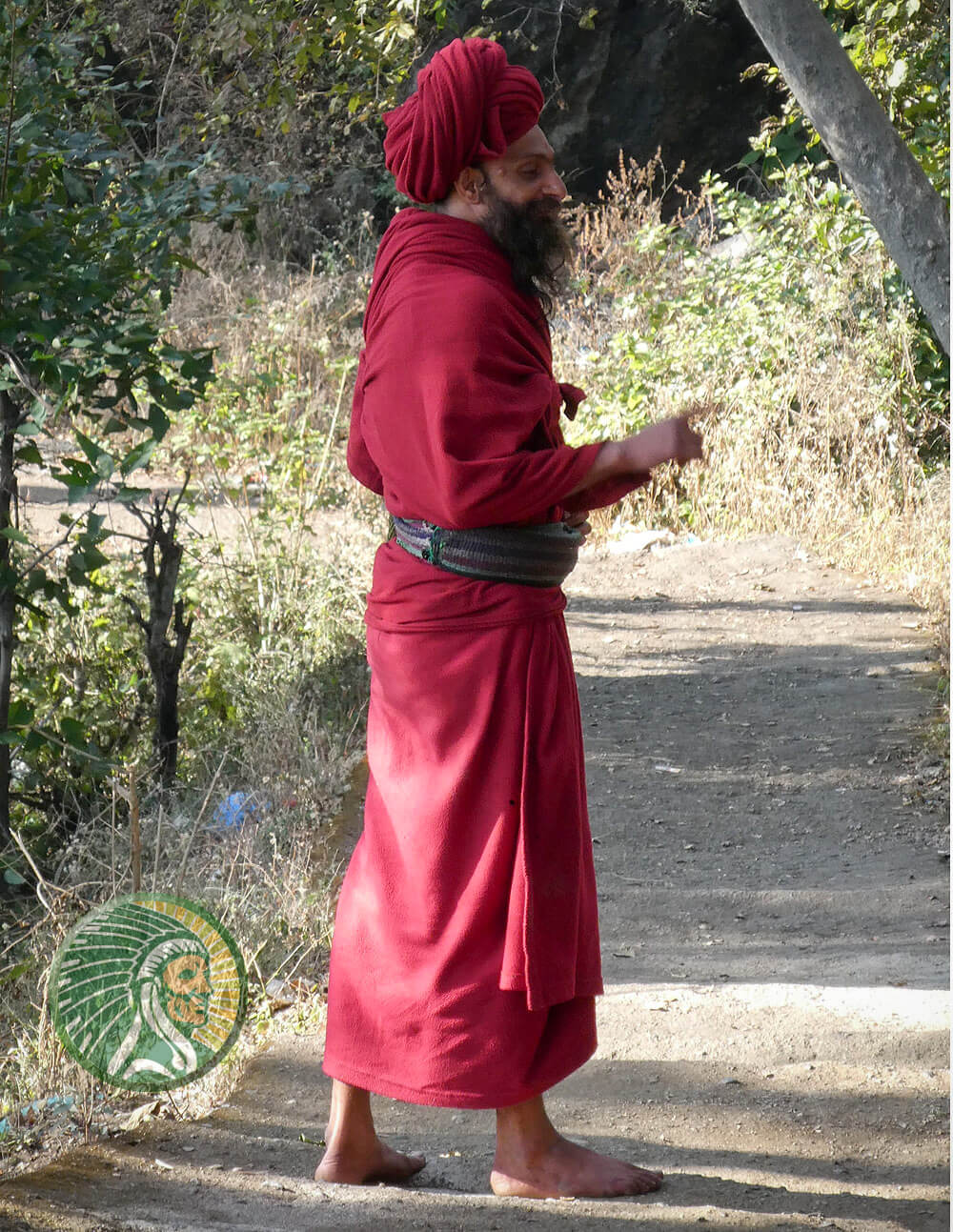 Garance indienne utilisé pour la teinture des étoffes - Rubia cordifolia L