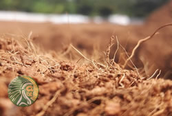 Coconut fiber as a substrate - Yukha