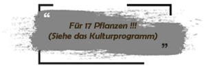 Cannabis Ayurveda Pack für 17 Pflanzen