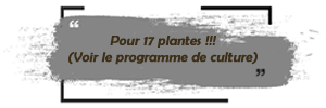 Cannabis Ayurveda Pack pour 17 plantes