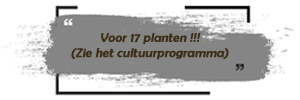 Cannabis Ayurveda Pack voor 17 planten