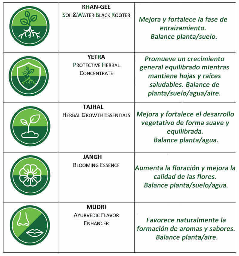 Detalle del paquete para el programa de cultivo hidropónico de cannabis