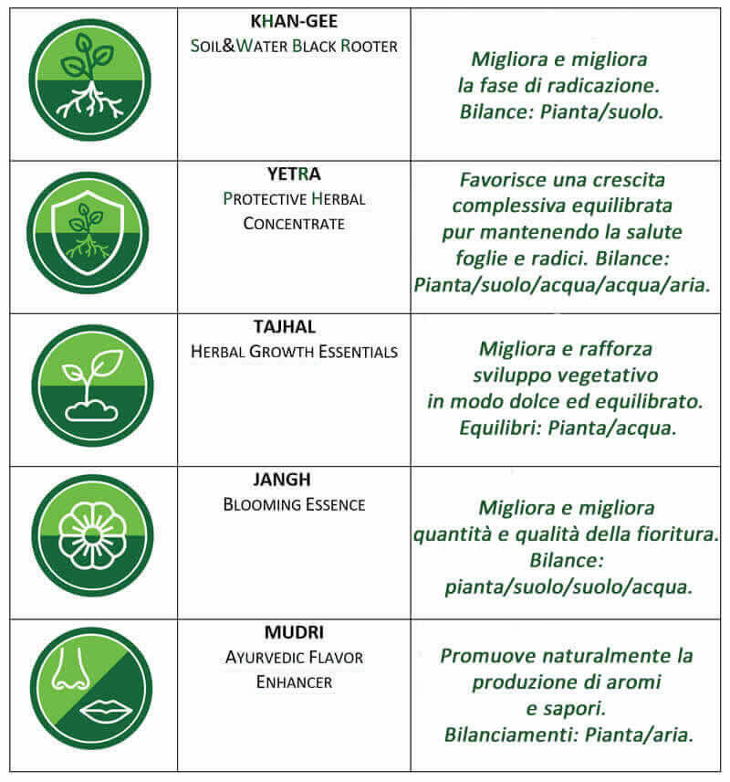 Dettaglio della confezione per il programma di coltivazione idroponica della cannabis