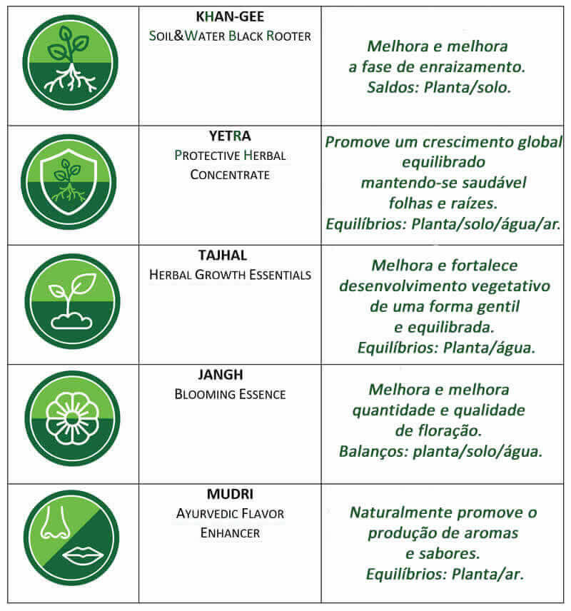 Detalhe do pacote para o programa de cultivo de canábis hidropônico