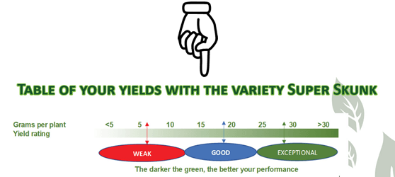 Summary of Ayurveda Pack Cannabis Trials with Super Skunk Strain