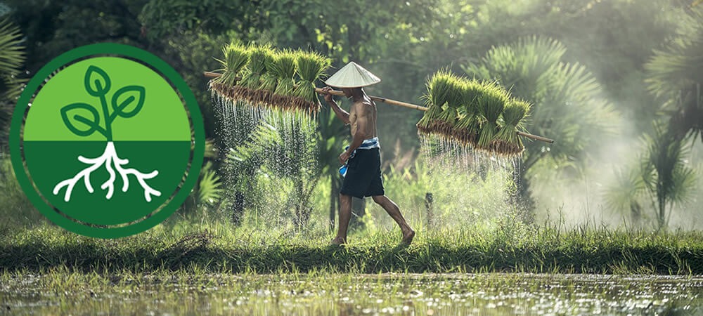 Wat Is Khan Gee Yukha