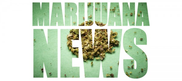 Nieuws van augustus: Cannabis over de hele wereld