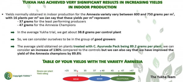 Resumen de los ensayos agronómicos con variedad Amnesia