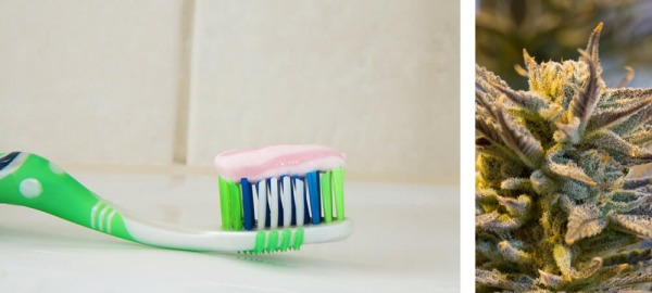 I cannabinoidi sono il futuro del dentifricio?