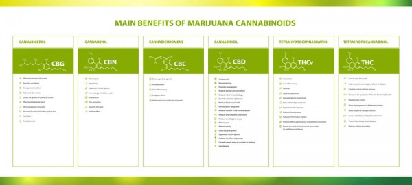 Positieve effecten van cannabisextracten op huidcellen