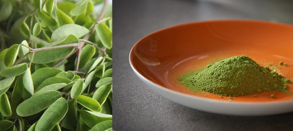 Wat is moringa? Alles wat u moet weten over superfood