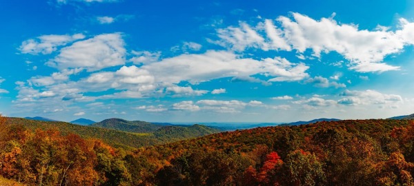 Virginia Legaliza Posse, Cultivo Caseiro de Cannabis