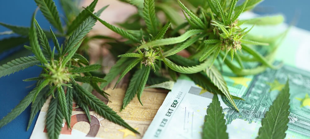 Qual è la nuova capitale europea della cannabis?