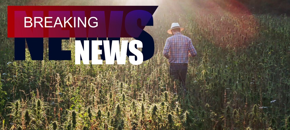 News of November 2021 -2 Cannabis around the world