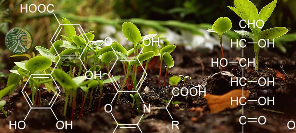 O que são ácidos húmicos para as plantas?