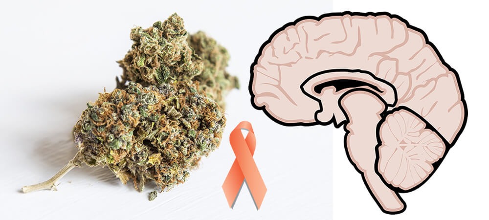 Can cannabis help in treatment of multiple sclerosis?