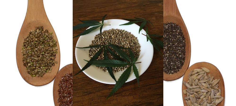 Cannabis sativa seeds for better health?