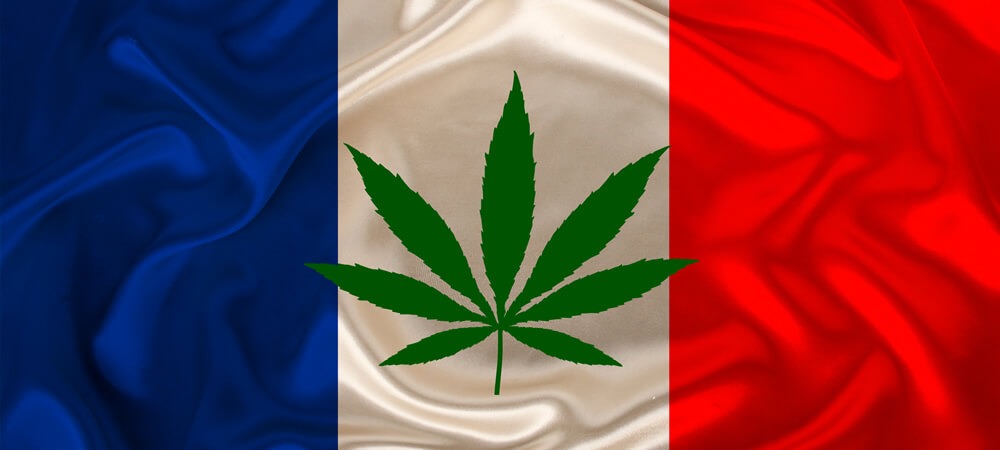 Französischer Gesetzgeber zeigt Marihuana Joint im Parlament