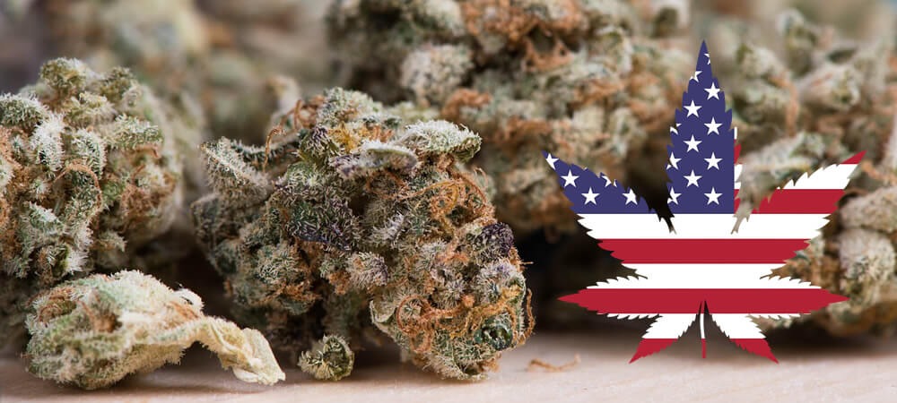 Amerikanen zeggen overweldigend dat marihuana legaal moet zijn
